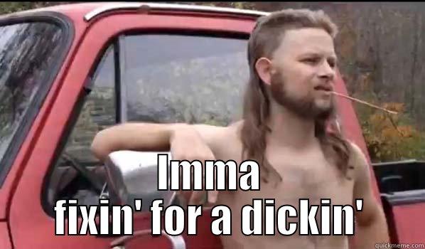  IMMA FIXIN' FOR A DICKIN' Almost Politically Correct Redneck
