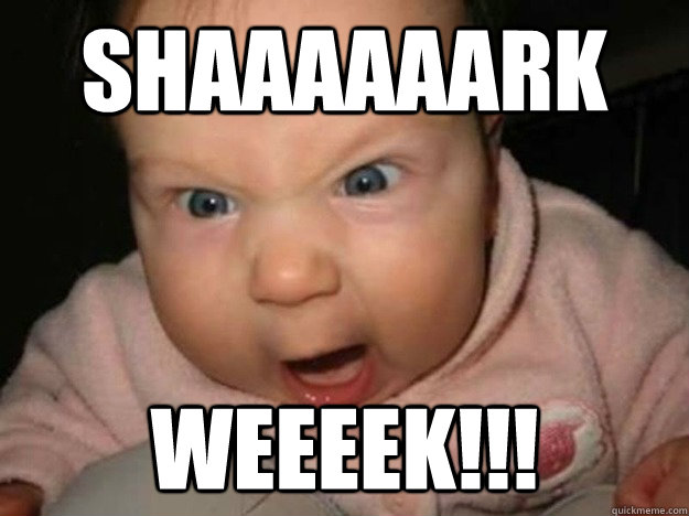 SHAAAAAARK WEEEEK!!!  