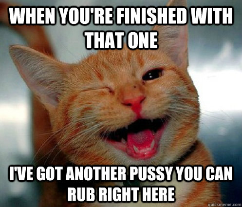 When you're finished with that one I've got another pussy you can rub right here  Innuendo Cat