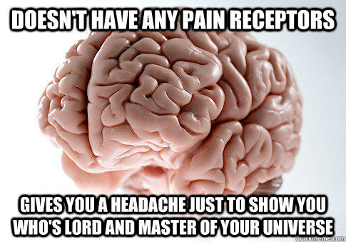 Doesn't have any pain receptors Gives you a headache just to show you who's lord and master of your universe - Doesn't have any pain receptors Gives you a headache just to show you who's lord and master of your universe  Scumbag Brain