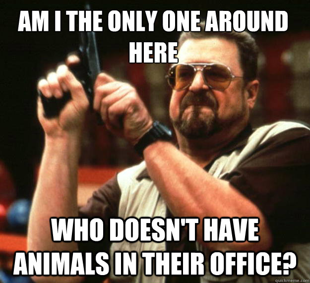 Am I the only one around here who doesn't have animals in their office?  Walter