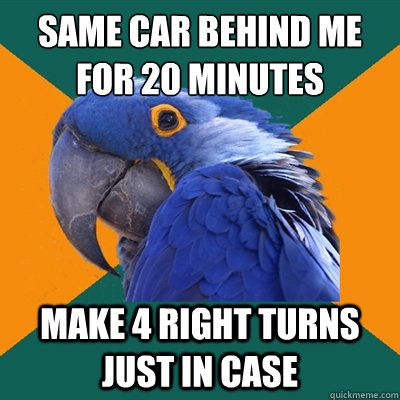 SAME CAR BEHIND ME FOR 20 MINUTES MAKE 4 RIGHT TURNS JUST IN CASE  Paranoid Parrot