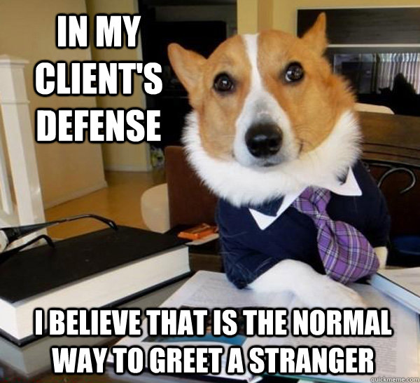 In my client's defense I believe that is the normal way to greet a stranger  Lawyer Dog