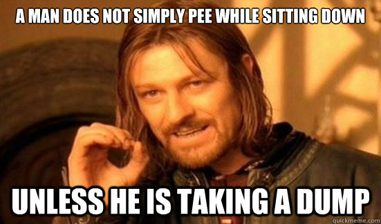 A man does not simply pee while sitting down Unless he is taking a dump  Boromir
