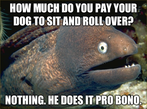 How much do you pay your dog to sit and roll over?  Nothing. He does it pro bono.  Bad Joke Eel