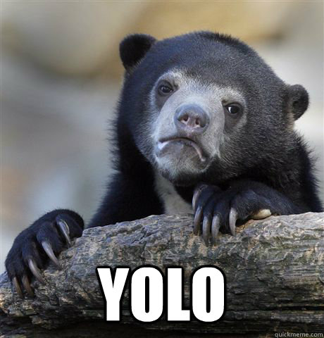  yolo  Confession Bear