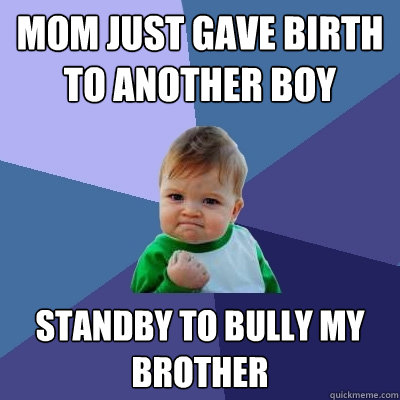 mom just gave birth to another boy standby to bully my brother  Success Kid