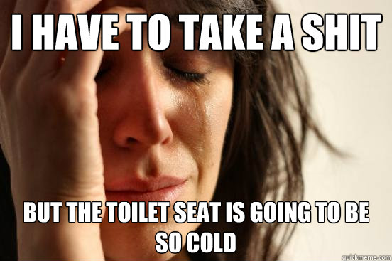i have to take a shit but the toilet seat is going to be so cold  First World Problems