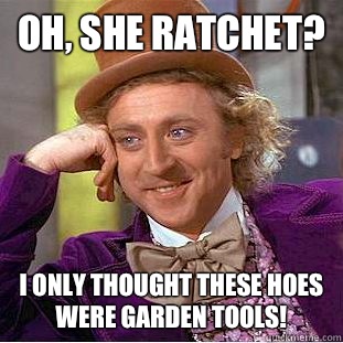 Oh, she ratchet? I only thought theSe hoes were garden tools!  Condescending Wonka