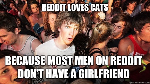 Reddit loves cats  Because most men on reddit don't have a girlfriend  Sudden Clarity Clarence