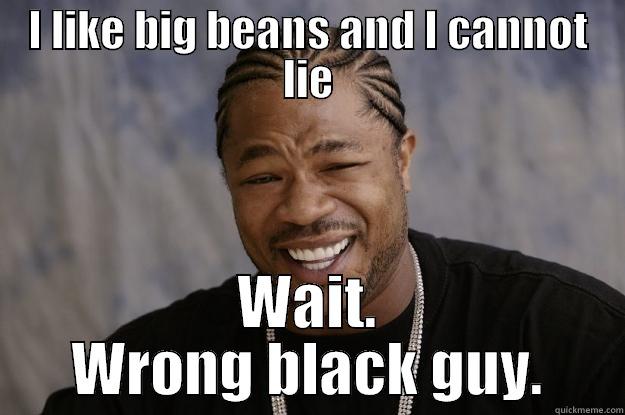 I LIKE BIG BEANS AND I CANNOT LIE WAIT. WRONG BLACK GUY. Xzibit meme