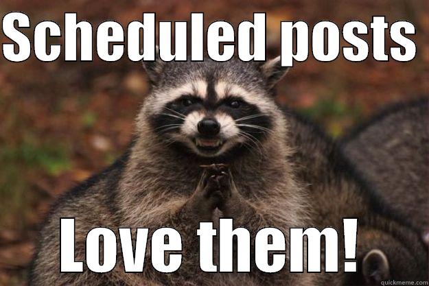 Organized ninja - SCHEDULED POSTS  LOVE THEM! Evil Plotting Raccoon