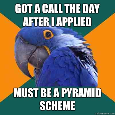 Got a call the day after I applied Must be a pyramid scheme  Paranoid Parrot