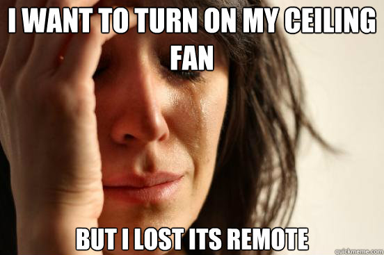I want to turn on my ceiling fan But I lost its remote  First World Problems