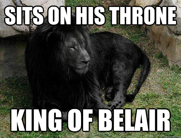 Sits on his throne king of belair  Black Lion Problems