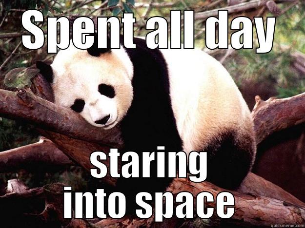 SPENT ALL DAY STARING INTO SPACE Procrastination Panda