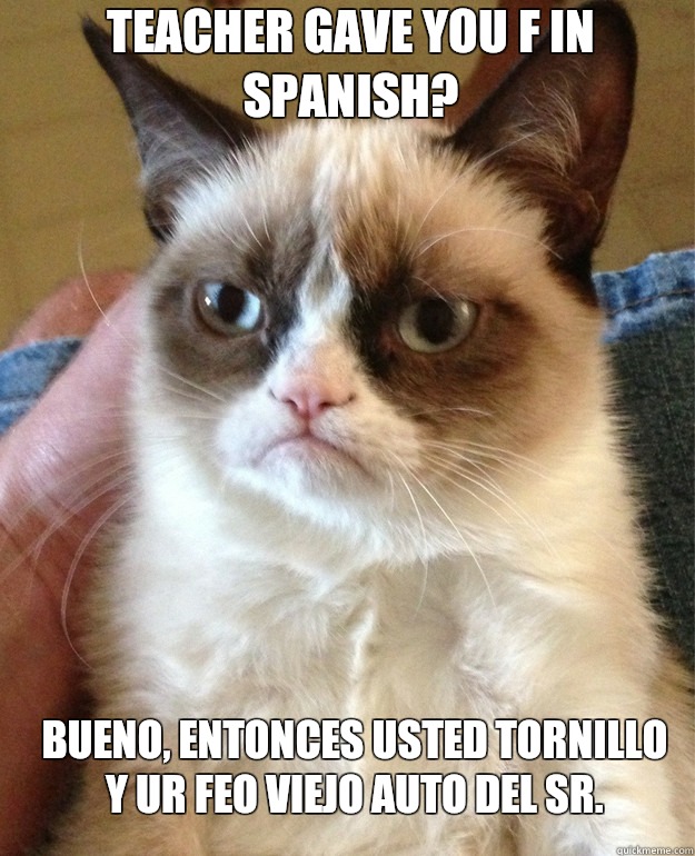 teacher gave you F in spanish? Bueno, entonces usted tornillo y ur feo viejo auto del Sr. - teacher gave you F in spanish? Bueno, entonces usted tornillo y ur feo viejo auto del Sr.  Grumpy Cat