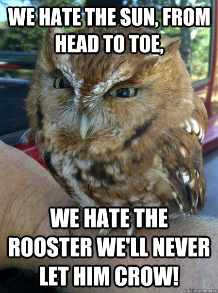 We hate the sun, from head to toe, We hate the rooster we'll never let him crow!  