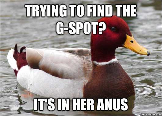 Trying to find the G-Spot? It's in her anus  - Trying to find the G-Spot? It's in her anus   Malicious Advice Mallard