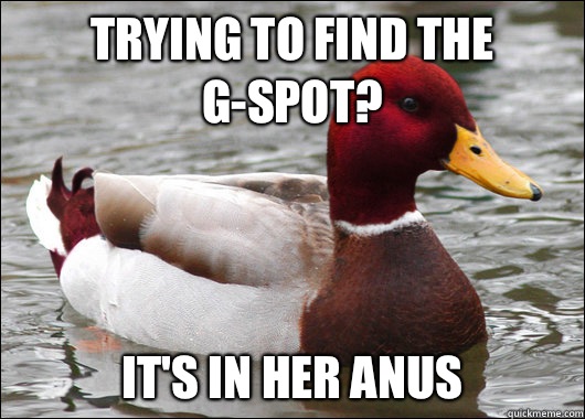 Trying to find the G-Spot? It's in her anus   Malicious Advice Mallard