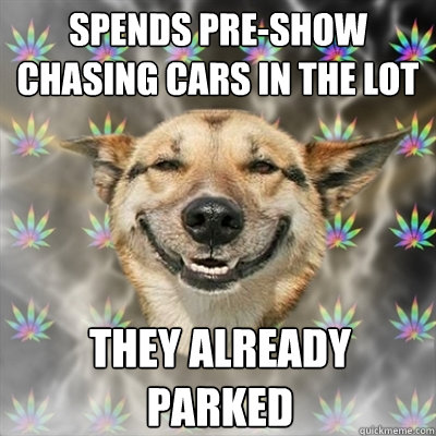 Spends Pre-Show Chasing Cars in the Lot They Already Parked  Stoner Dog