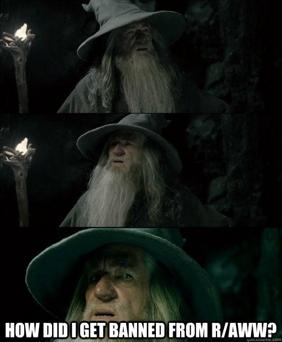  how did I get banned from r/aww?  Confused Gandalf
