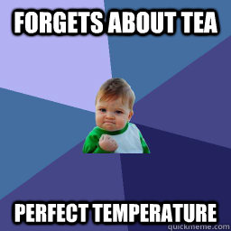 forgets about tea perfect temperature - forgets about tea perfect temperature  Succes kid rainey night