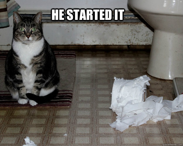 He started it  Guilty Cat