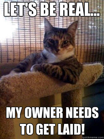 let's be real... my owner needs to get laid!  The Most Interesting Cat in the World