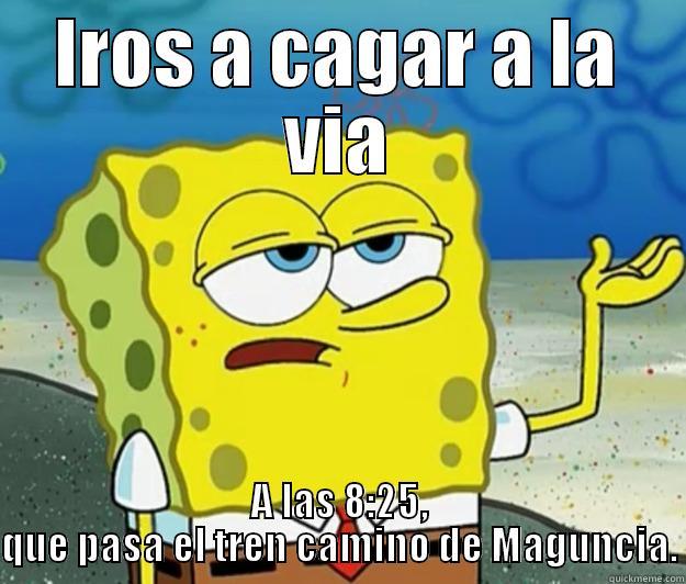 IROS A CAGAR A LA VIA A LAS 8:25, QUE PASA EL TREN CAMINO DE MAGUNCIA. Tough Spongebob