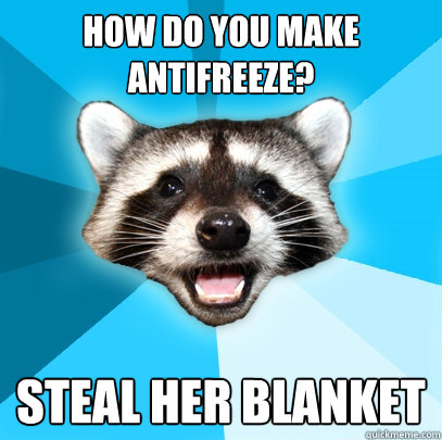 HOW DO YOU MAKE ANTIFREEZE? STEAL HER BLANKET  Lame Pun Coon
