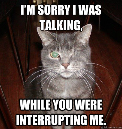 I’m sorry I was talking, while you were interrupting me. - I’m sorry I was talking, while you were interrupting me.  Sarcasticat