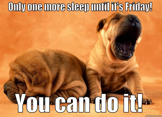 ONLY ONE MORE SLEEP UNTIL IT'S FRIDAY! YOU CAN DO IT! Misc