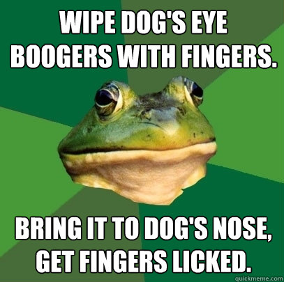 wipe dog's eye boogers with fingers. bring it to dog's nose, get fingers licked.  Foul Bachelor Frog