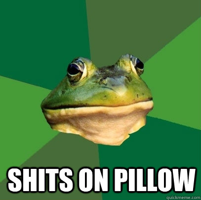  shits on pillow  Foul Bachelor Frog