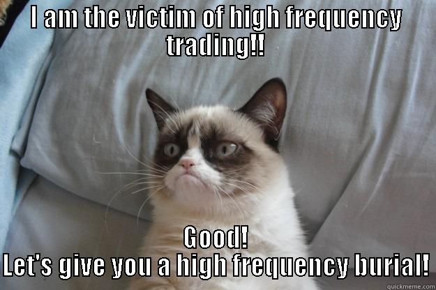 I AM THE VICTIM OF HIGH FREQUENCY TRADING!! GOOD! LET'S GIVE YOU A HIGH FREQUENCY BURIAL! Grumpy Cat