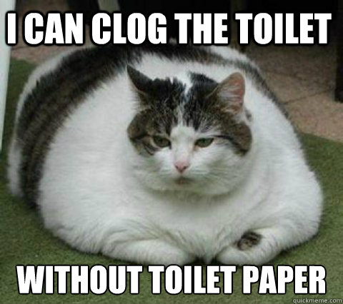 I can clog the toilet without toilet paper  Fatcat