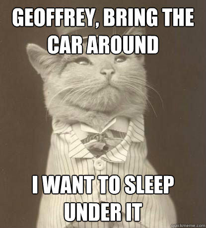 GEOFFREY, BRING THE CAR AROUND I WANT TO SLEEP UNDER IT  Aristocat