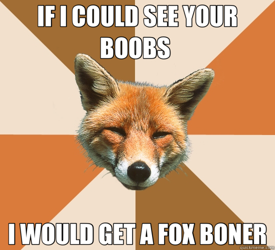 IF I COULD SEE YOUR BOOBS  I WOULD GET A FOX BONER  Condescending Fox