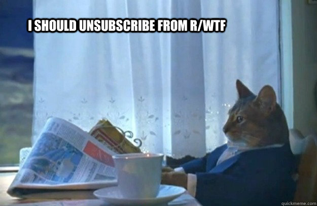 I should unsubscribe from r/wtf  Sophisticated Cat