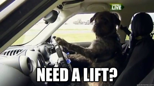 Top caption need a lift?  Dog driving a car