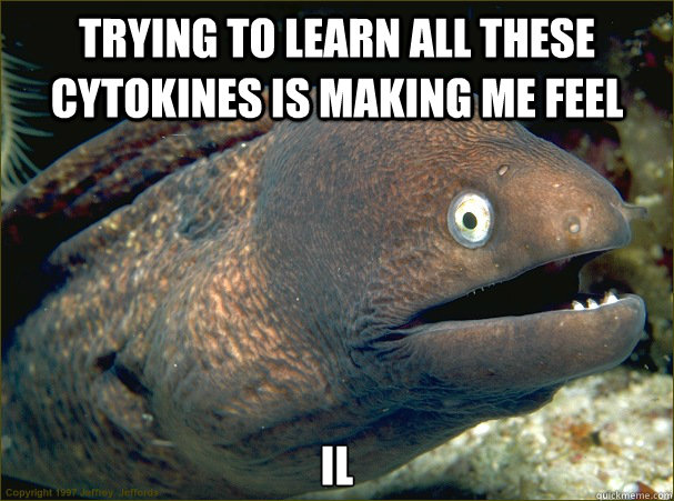 Trying to learn all these cytokines is making me feel il  Bad Joke Eel