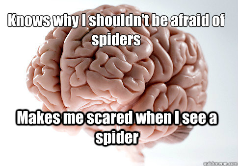 Knows why I shouldn't be afraid of spiders Makes me scared when I see a spider   Scumbag Brain