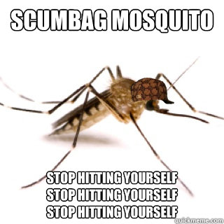 scumbag mosquito stop hitting yourself
stop hitting yourself
stop hitting yourself - scumbag mosquito stop hitting yourself
stop hitting yourself
stop hitting yourself  Misc