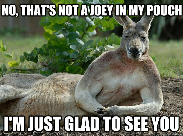 I'm just glad to see you No, that's not a joey in my pouch  Sexually Forward Kangaroo