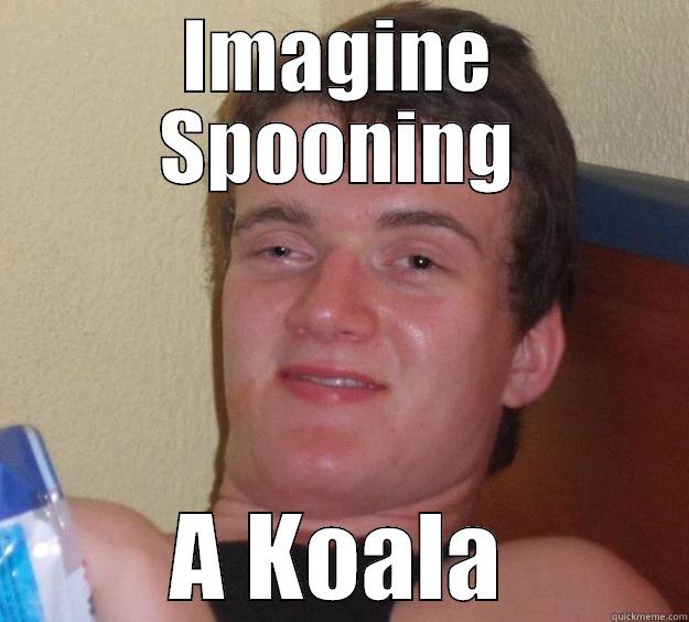 IMAGINE SPOONING A KOALA 10 Guy