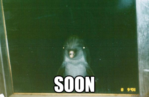  SOON  Creepy Dolphin