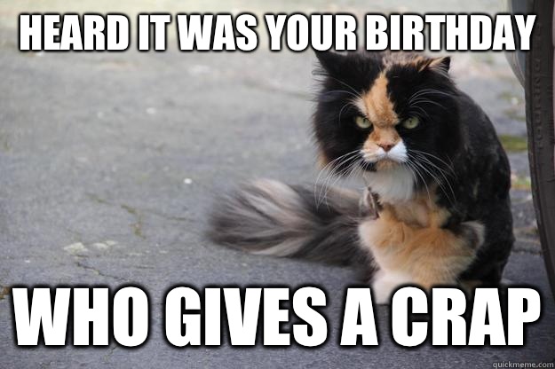 Heard it was your birthday Who gives a crap  Angry Cat