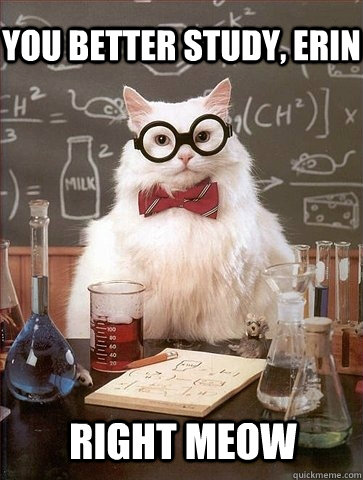 you better study, erin right meow  Chemistry Cat