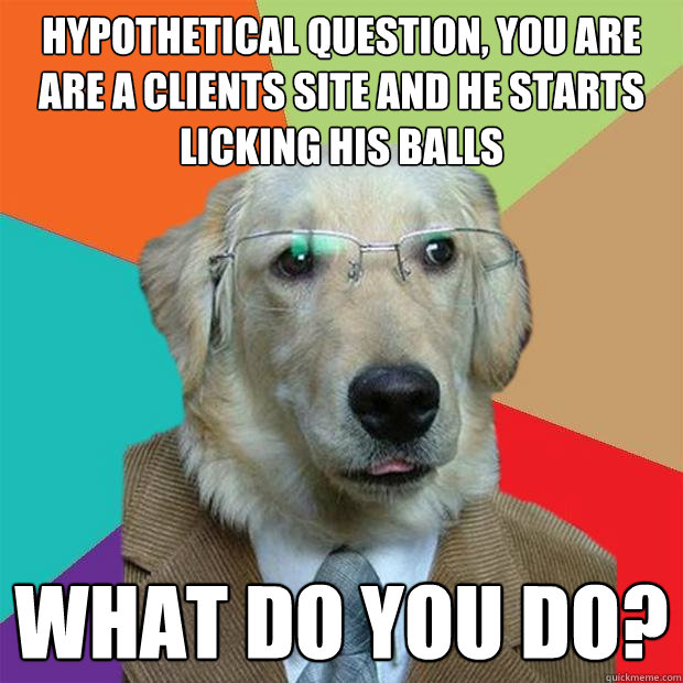 Hypothetical question, you are are a clients site and he starts licking his balls What do you do?  Business Dog